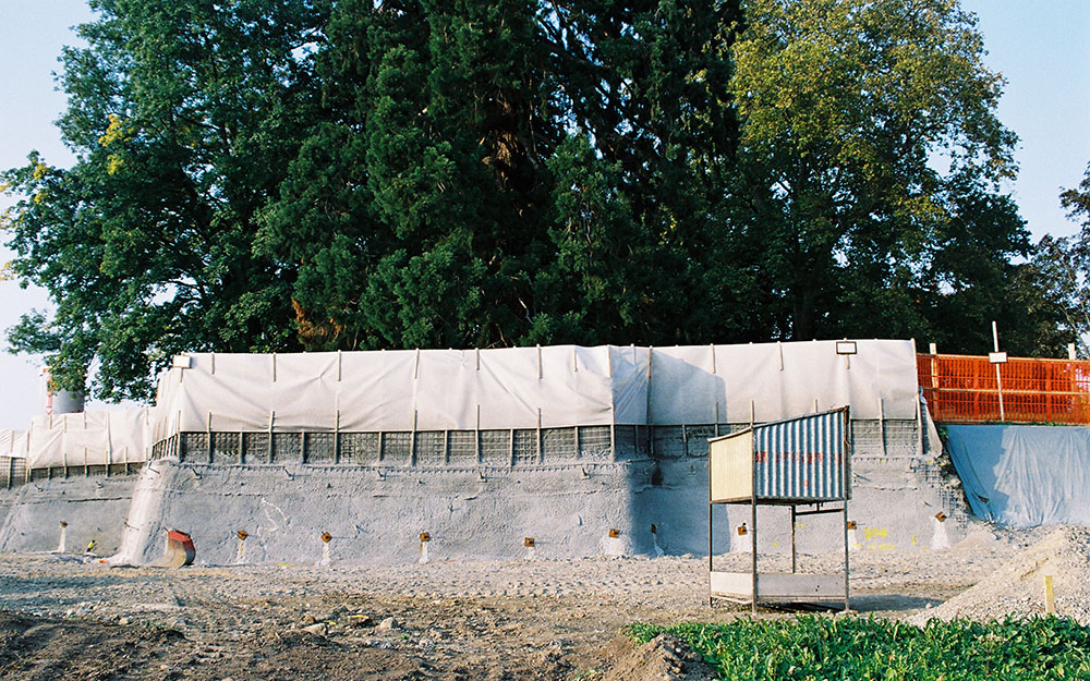 Baumschutz